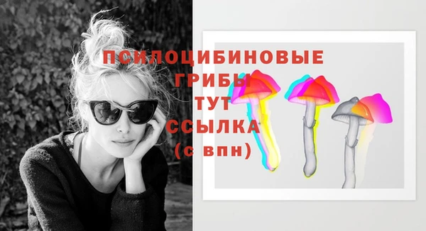 стафф Армянск