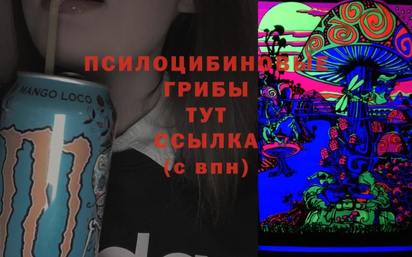 стафф Армянск