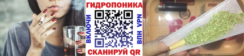 Канабис ГИДРОПОН Уржум